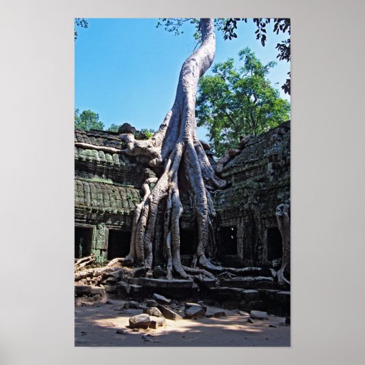 Ruin van Ta Prohm - Angkor Wat, Cambodja, Azië Poster (Voorkant)