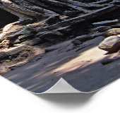 Ruin van Ta Prohm - Angkor Wat, Cambodja, Azië Poster (Hoek)