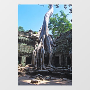 Ruin van Ta Prohm - Angkor Wat, Cambodja, Azië Raamsticker