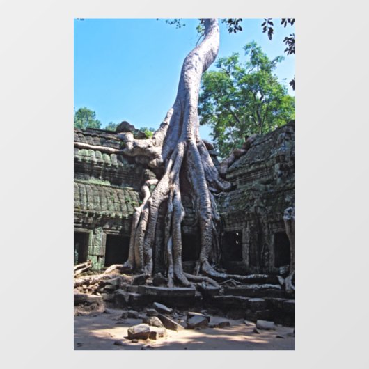 Ruin van Ta Prohm - Angkor Wat, Cambodja, Azië Raamsticker (Vel)
