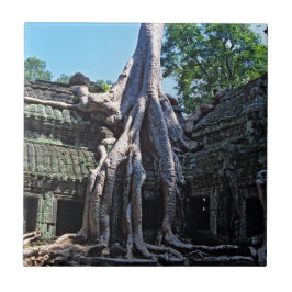 Ruin van Ta Prohm - Angkor Wat, Cambodja, Azië Tegeltje