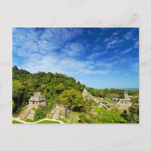 Ruinas en Palenque, Mexico Briefkaart (Voorkant)