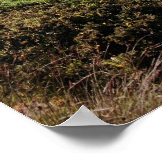 ruïne in het ierse rotsige landschap poster (Hoek)