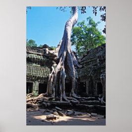 Ruïne van Ta Prohm - Angkor Wat, Cambodja, Azië Poster