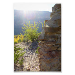 Ruined adobe house, Big Bend National Park, Texas Foto Afdruk