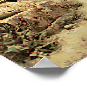 Ruined Temple in Ballbeck Poster (Hoek)