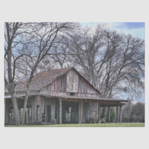 Ruïnes in houten schuur met omliggende kale bomen tissuepapier