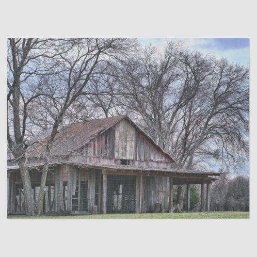 Ruïnes in houten schuur met omliggende kale bomen tissuepapier (Voorkant)