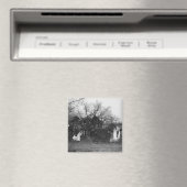 Ruïnes van de boerderij magneet (Insitu (Vaatwasser))