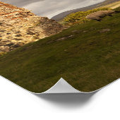 Ruïnes van het kasteel van Cessford met schapengra Poster (Hoek)