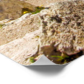 ruïnes van het oude theater van Herodion Atticus Poster (Hoek)