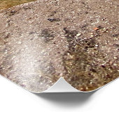 Ruïnes van het Paltserstadion in Rome, Italië Foto Afdruk (Hoek)