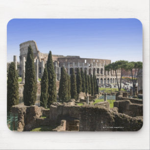 Ruïnes van het Romeinse Colosseum uit Il Palatino Muismat