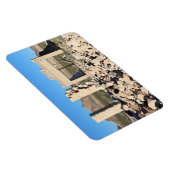 Ruins in Rhyolite Ghost Town, Nevada Magneet (Rechterzijde)