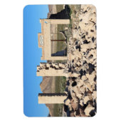 Ruins in Rhyolite Ghost Town, Nevada Magneet (Verticaal)
