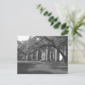 Ruins of Old Sheldon Church in Yemassee, SC Briefkaart (Staand voorkant)