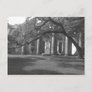 Ruins of Old Sheldon Church in Yemassee, SC Briefkaart