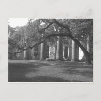 Ruins of Old Sheldon Church in Yemassee, SC Briefkaart