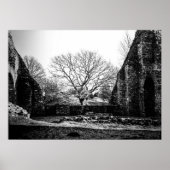 Ruins Poster (Voorkant)