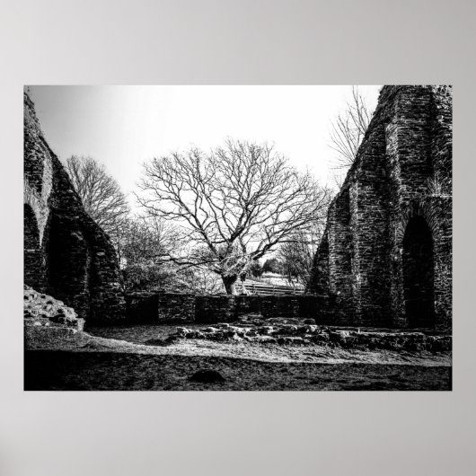 Ruins Poster (Voorkant)