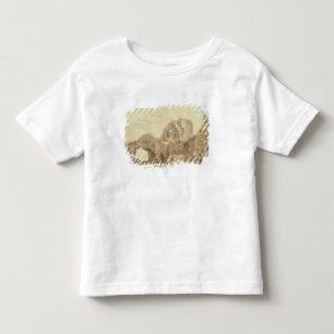 Ruins van het kasteel van Pevensey (m/c op papier) Kinder Shirts