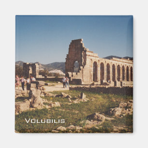 Ruins van Volubilis Magneet