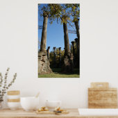 Ruins van Windsor Poster (Keuken)