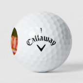 ruisende wind golfballen (Logo)