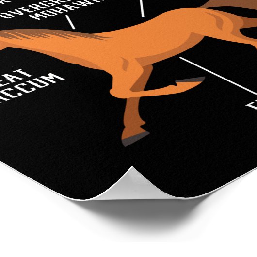 Ruitanatomie van een paardenloop poster (Hoek)