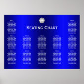 Ruiten en parelbruinvissen poster (Voorkant)