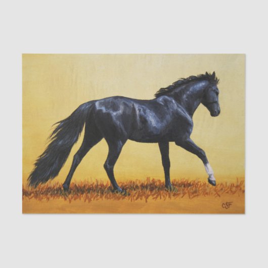 Ruitend Horse Black Stallion Tissuepapier (Voorkant)