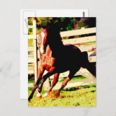 Ruitend paard briefkaart (Voorkant / Achterkant)