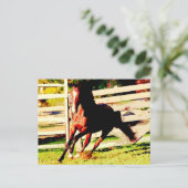 Ruitend paard briefkaart (Staand voorkant)