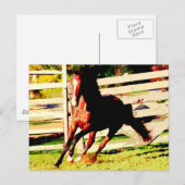 Ruitend paard briefkaart (Voorkant / Achterkant)