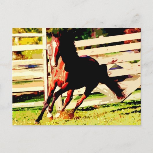 Ruitend paard briefkaart (Voorkant)