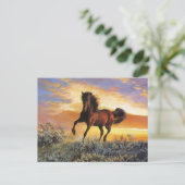 Ruitend paard briefkaart (Staand voorkant)