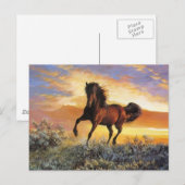 Ruitend paard briefkaart (Voorkant / Achterkant)