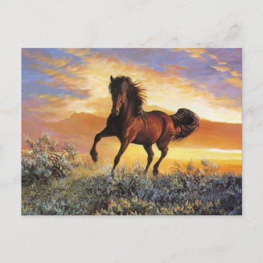 Ruitend paard briefkaart (Voorkant)