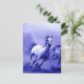 Ruitend paard briefkaart (Staand voorkant)