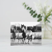 Ruitend paard briefkaart (Staand voorkant)