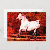 Ruitend paard briefkaart (Voorkant / Achterkant)