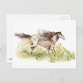 Ruitend paard briefkaart (Voorkant / Achterkant)