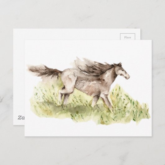 Ruitend paard briefkaart (Voorkant / Achterkant)