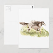 Ruitend paard briefkaart (Voorkant / Achterkant)