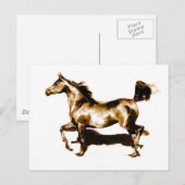 Ruitend paard briefkaart (Voorkant / Achterkant)