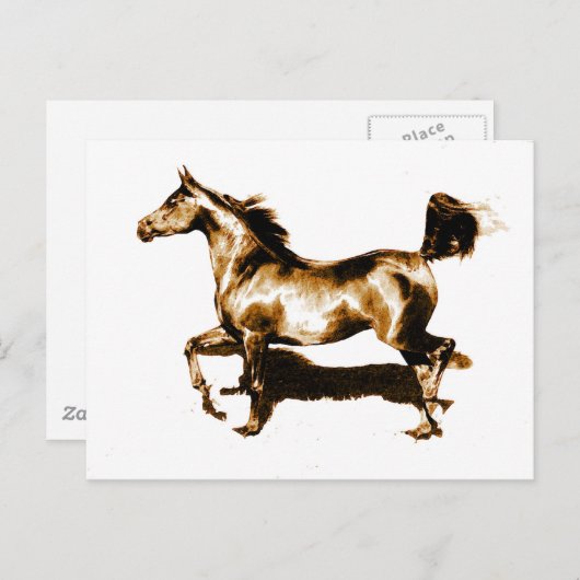 Ruitend paard briefkaart (Voorkant / Achterkant)