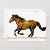 Ruitend paard briefkaart (Voorkant / Achterkant)