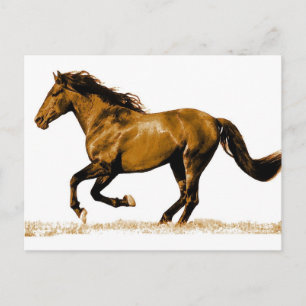 Ruitend paard briefkaart
