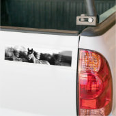 Ruitend paard bumpersticker (Op Truck)