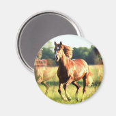 Ruitend paard magneet (Voorkant / Achterkant)